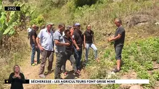 Sécheresse : la situation est catastrophique pour les agriculteurs de Salazie.