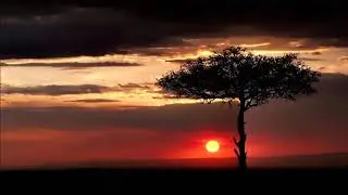 Team Distant - Countryside (Original Rollout Mix)