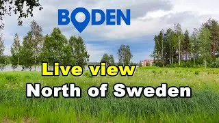Boden Sweden (2K QHD Live view). Буден, наедине с природой. Relax. Alone with nature (Швеция).