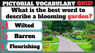Ultimate Vocabulary Quiz: Test Your English Word Power! 💡📚