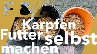 Angeln - Fisch - Karpfen - anf&uuml;ttern - kleiner Fluss - motiviert im Winter VlogNo.17