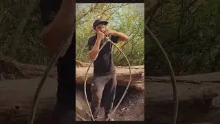 This tree can protect me from the animals