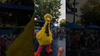 Big Bird Singing Dancing Throws a Kiss #sesamestreet #viral #youtubeshorts #bigbird #dancing