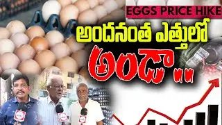 కొండెక్కి వెక్కిరిస్తున్న..కోడిగుడ్డు ధరలు | Egg Price Huge Hike | ADBC Telugu