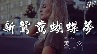 黃安 - 新鴛鴦蝴蝶夢『看似個鴛鴦蝴蝶  不應該的年代』【動態歌詞Lyrics】