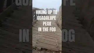 Hiking Guadalupe Peak in Heavy Fog 😳🏔️ #GuadalupePeak #Hiking #TrailVideo