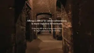 BODEGAS BILBA&Iacute;NAS 2025