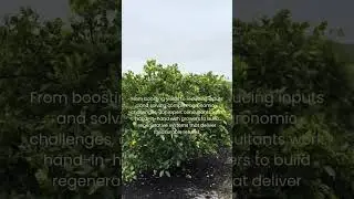 Introducing Groundwork: AEA Agronomic Consulting Services