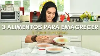 3 ALIMENTOS PARA CURAR O INTESTINO E EMAGRECER - Thais Ara&uacute;jo Psiconutri