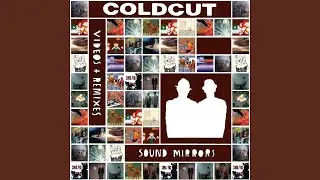 Everything Is Under Control (Theory 0.1)