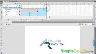Flash logo animation