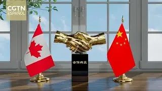 El comercio bilateral entre China y Canad&aacute; muestra resiliencia y perspectivas de crecimiento