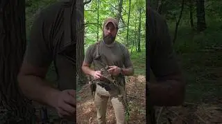 The Hearing Protection Act