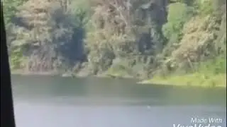VIRAL ORANG BERANI RENANG DI TELAGA RANJENG