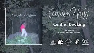 Common Holly - Central Booking