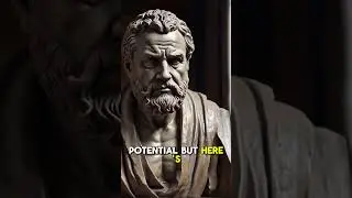 Stoic Wisdom #12: Procrastination
