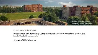 Preparation of chemically competent and electro-competent cells