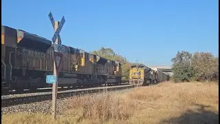 UP Intermodal meets UP Manifest in Weatherford, TX! 2 Trains in 10 Mins!