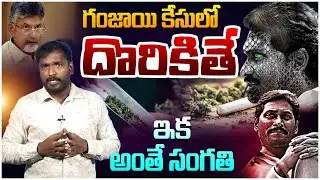 ఇక అంతే సంగతి | Analyst Sudhakar On Ganjayi Cases | CM Chandrababu | YS Jagan | Nara Lokesh |