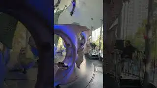 Stunning carousel ride in battery park NYC lower manhattan #ghoodvibez