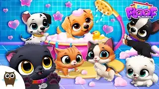 Adopt the Cutest FLOOF Pets 😊🩷 FLOOF - My Pet House | Kids Games | TutoTOONS
