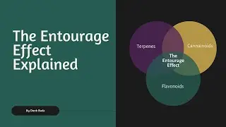 The Entourage Effect Explained Why THC Is Only Part of the Story