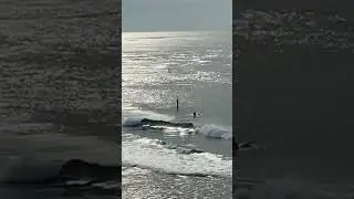 Catch A Wave - The Beach Boys