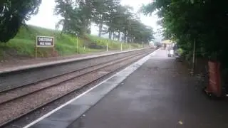 7903 foremarke Hall arrives at Cheltenham racecourse