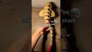 🦓🥹🦈 Making a ZEBRA SHARK for my wall 🪼🩵 Cardboard Craft | DIY Shark Tutorial #cardboard #diy