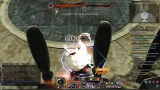 Bless Online EU | Assassin DPS test (no pet, dpsfood or partybuffs)