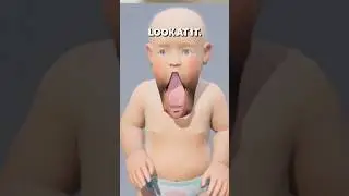 Making a 
