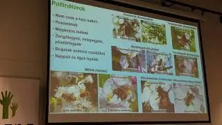 Telki Öko hét 2.0 - Hasznos ízeltlábúak a kertben - Nagy Csaba