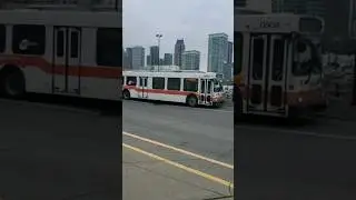 Bus 🚌 Terminal Mississauga Canada 🇨🇦