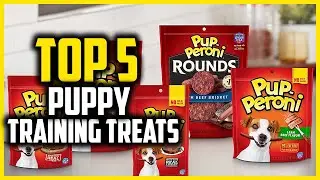 ✅ Top 5 Best Puppy Training Treats of 2024