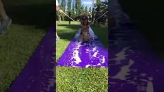 Animaci&oacute;n Familiar