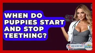When Do Puppies Start And Stop Teething? - Ask A Pet Vet