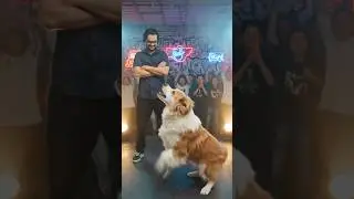 magic video viral 1 million views like 3 million amazing Jadu video doggy and boy dance