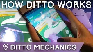 FINALLY CAUGHT DITTO /// HOW TO BATTLE WITH DITTO /// HOW DITTO WORKS IN POK&Eacute;MON GO