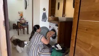Life as a pet parent : Daily Adventures | Daily routine of a pet parent | Pet parent Diaries-part 1