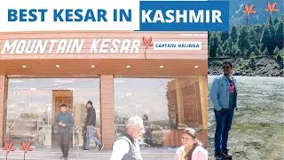 Kashmiri Kesar (Saffron) | Kashmir | Saffron Price | CAPTAIN KALINGA | Pampore Kesar |mountain kesar