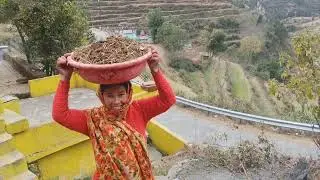 बसंत पंचमी की ढेर सारी शुभकामनाएं 🙏 और उत्तराखंड में बारिश हो गयी 