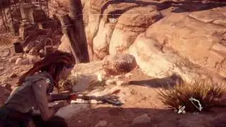 Who placed the rocks in this game!??