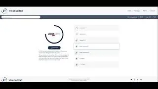 Wisebuddah - The Absolute Radio Country 2021 Jingle Package Overview (All Cuts)