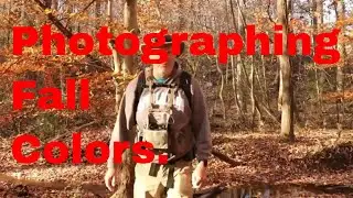 Photographing the leaves in the fall