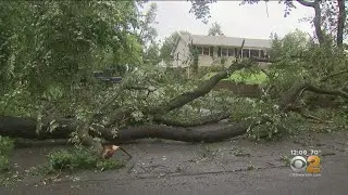 Storm Cleanup In Millstone Township, N.J.