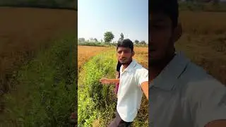 Powari Mini vlog 🌾🌿#minivlog #comedy #funny #trending #language #powari #farmer