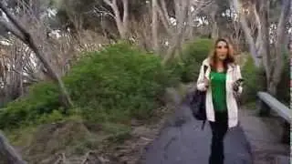 Sydney Weekender in Ben Boyd National Park