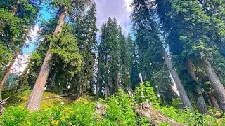 Switzerland Of Asia l Swat Valley l Pakistan l AMAZING NATURE