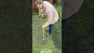 Подсев газонов
