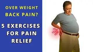 Overweight with Back Pain? Top 5 exercises to Try